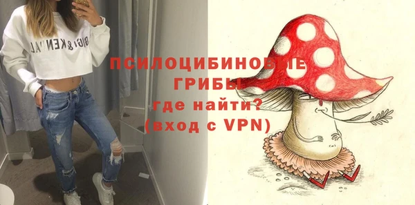 трава Новодвинск
