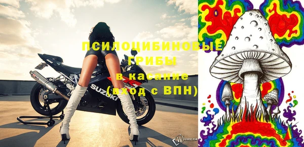 винт Билибино
