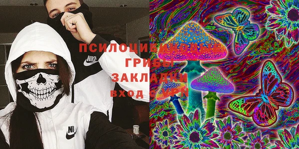 PSILOCYBIN Новозыбков