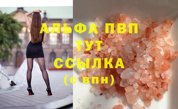 PSILOCYBIN Новозыбков