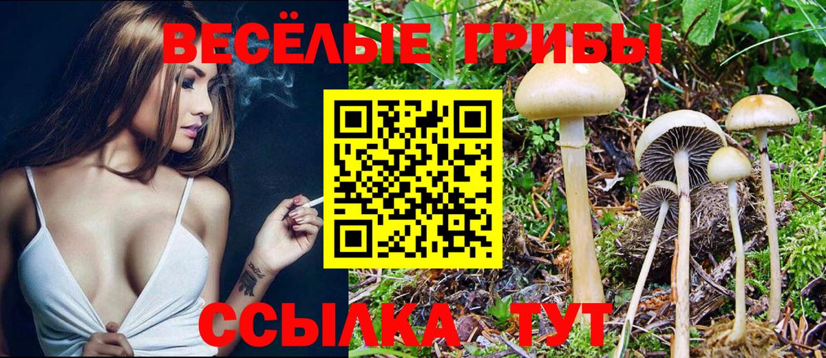 Галлюциногенные грибы мицелий Шуя