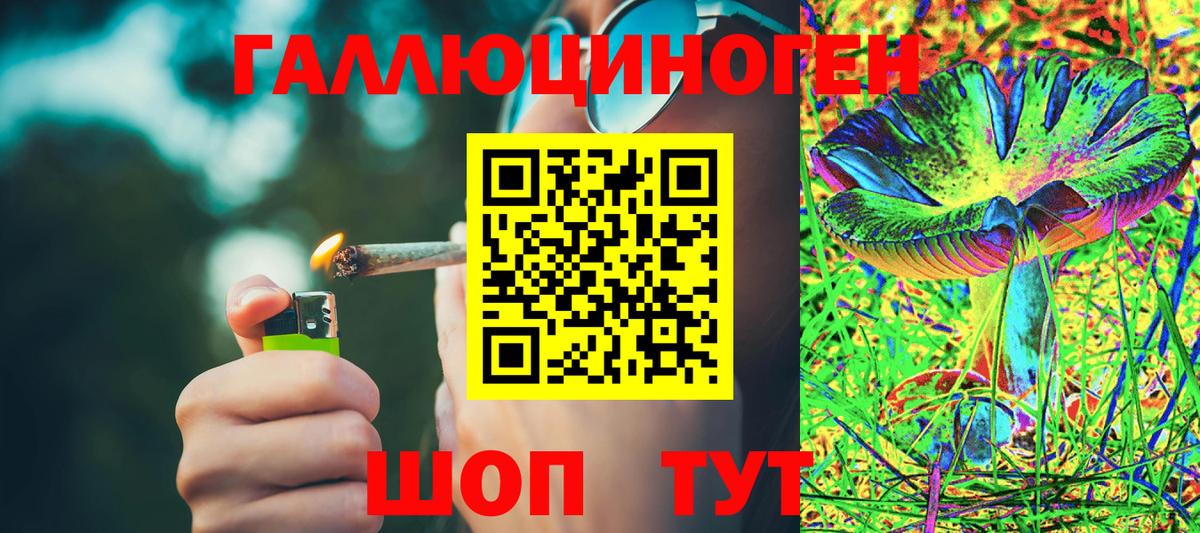 Псилоцибиновые грибы Psilocybe  Шуя 