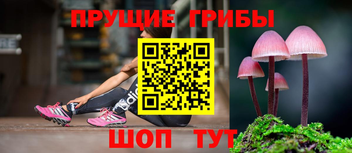 Псилоцибиновые грибы мухоморы Шуя