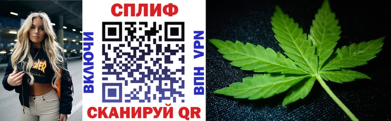 Канабис VHQ  Шуя 
